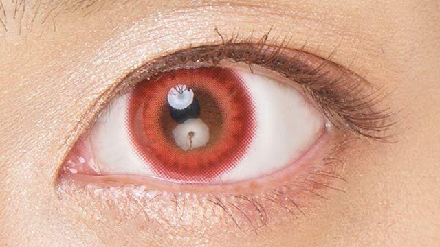 Etia - gelee 1day - Apple Gelee (10P)