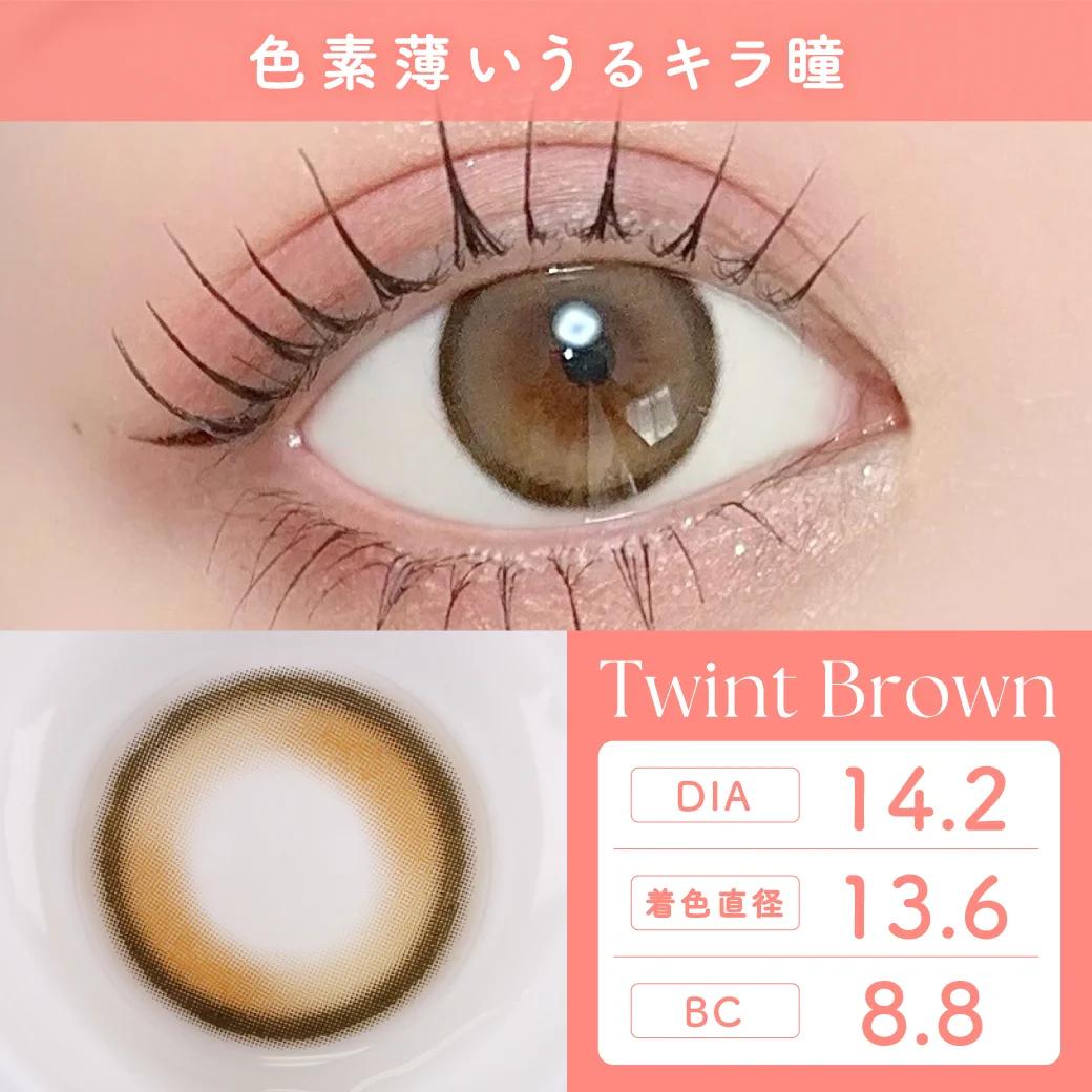 TeAmo - 1month - Twint Brown (2P)