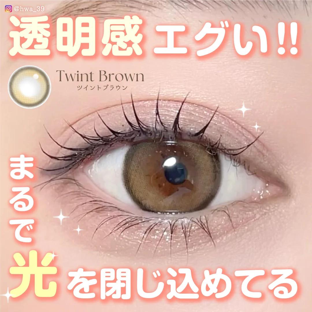 TeAmo - 1month - Twint Brown (2P)