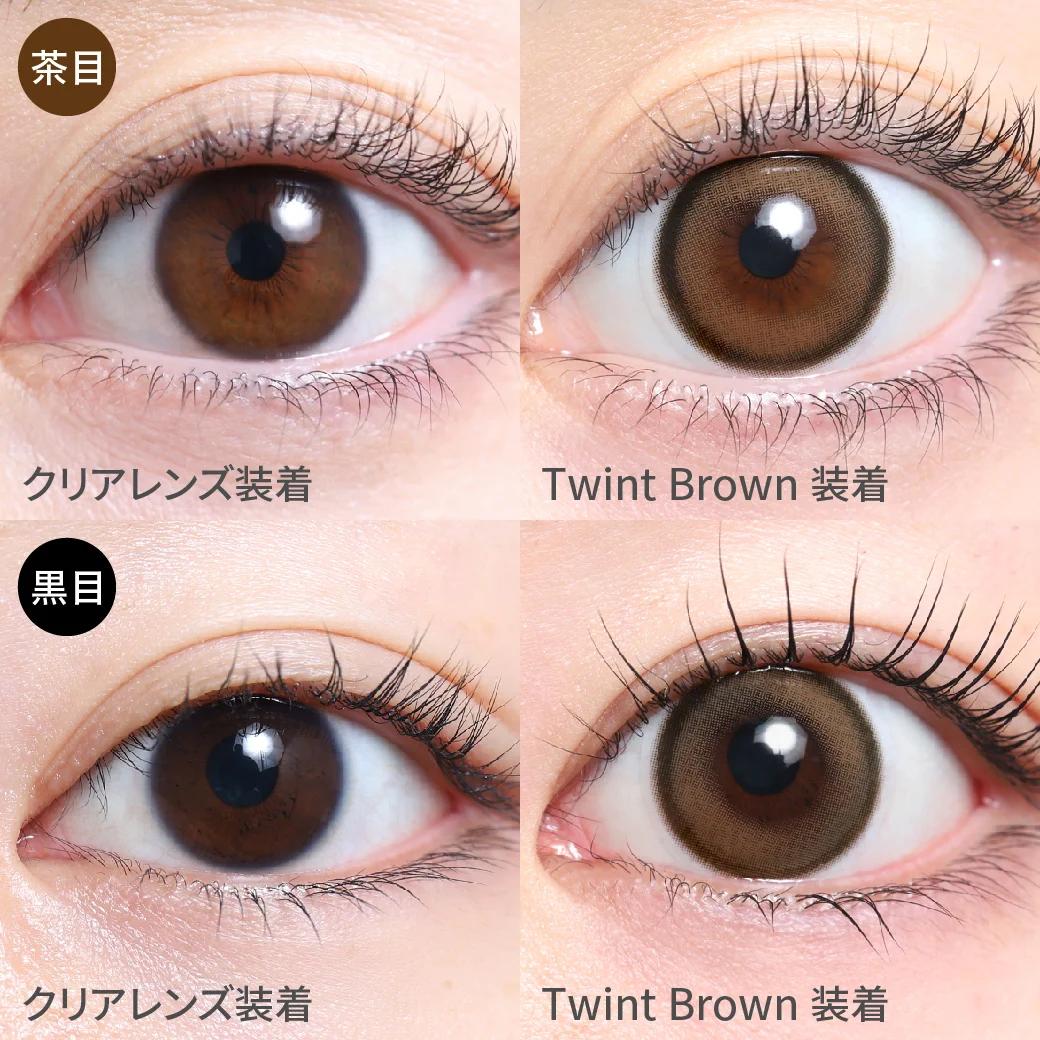 TeAmo - 1month - Twint Brown (2P)