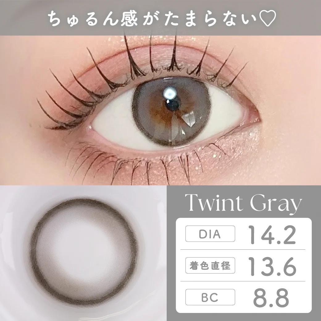 TeAmo - 1month - Twint Gray (2P)