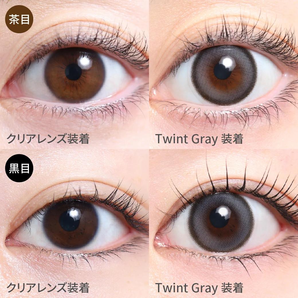 TeAmo - 1month - Twint Gray (2P)