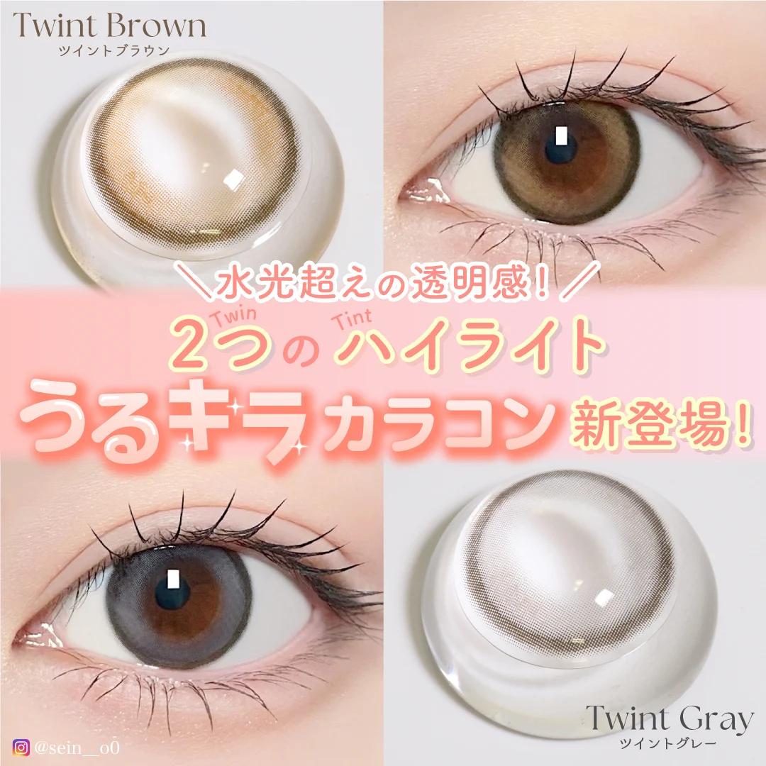 TeAmo - 1month - Twint Gray (2P)