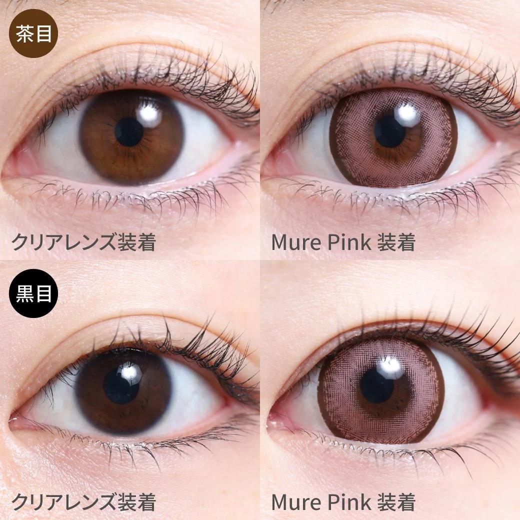 TeAmo - 1month - Mure Pink (2P)