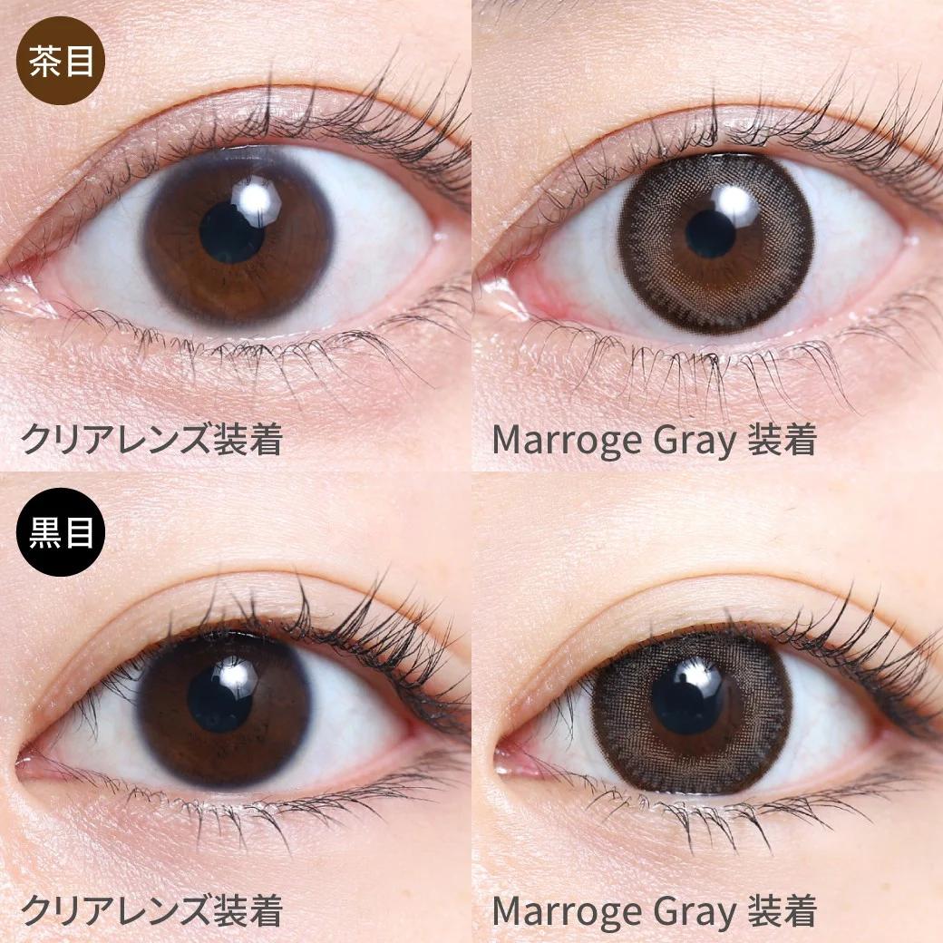 TeAmo - 1month Natural Type - Marroge Gray (2P)