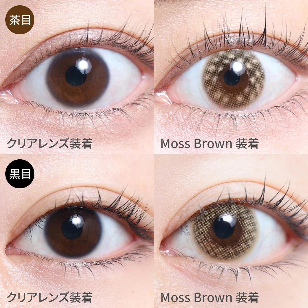 TeAmo - 1month Half Type - Moss Brown  (2P)