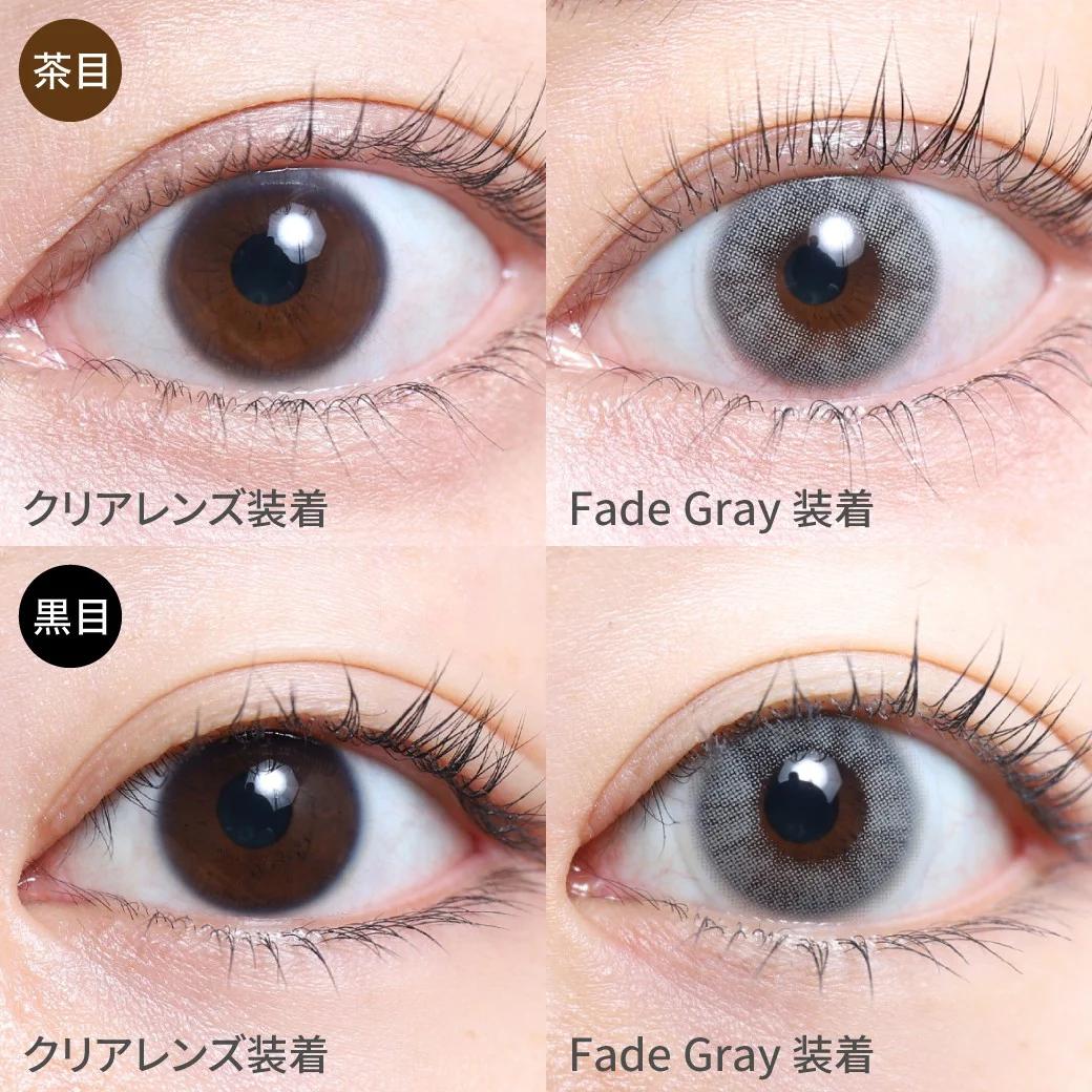 TeAmo - 1month Half Type - Fade Gray  (2P)