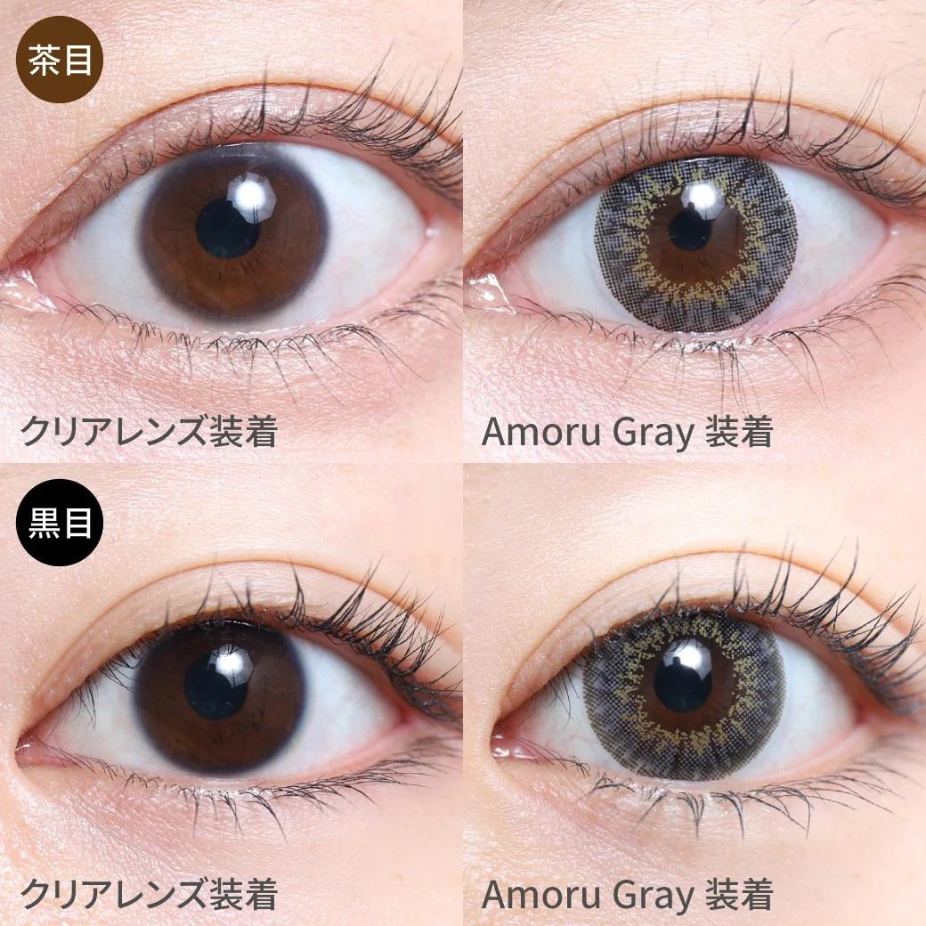 TeAmo - 1month Half Type - De Amoru Gray (2P)