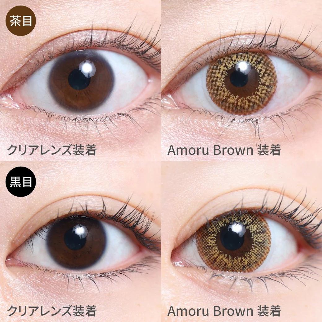 TeAmo - 1month Half Type - De Amoru Brown (2P)