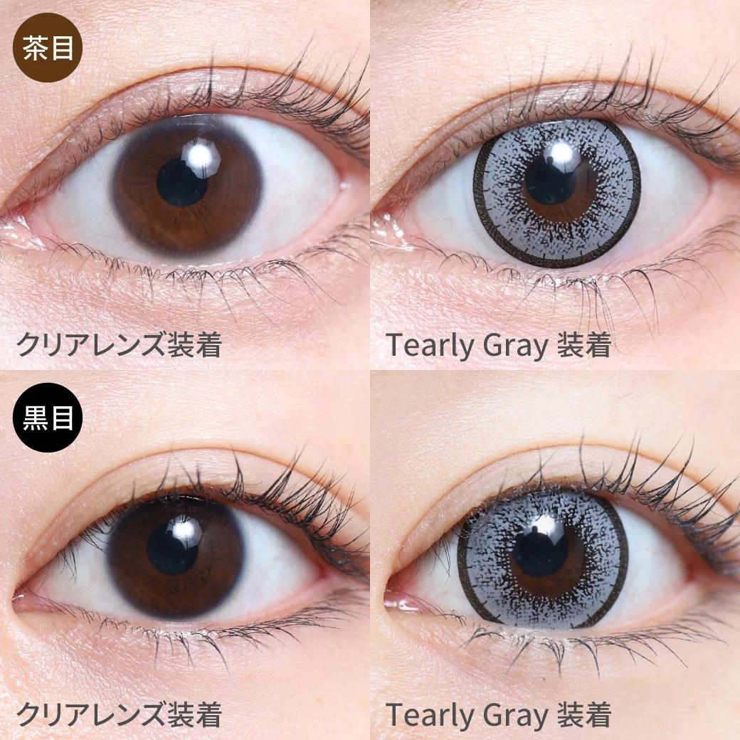 TeAmo - 1month Big Eye Type - Tearly Gray  (2P)