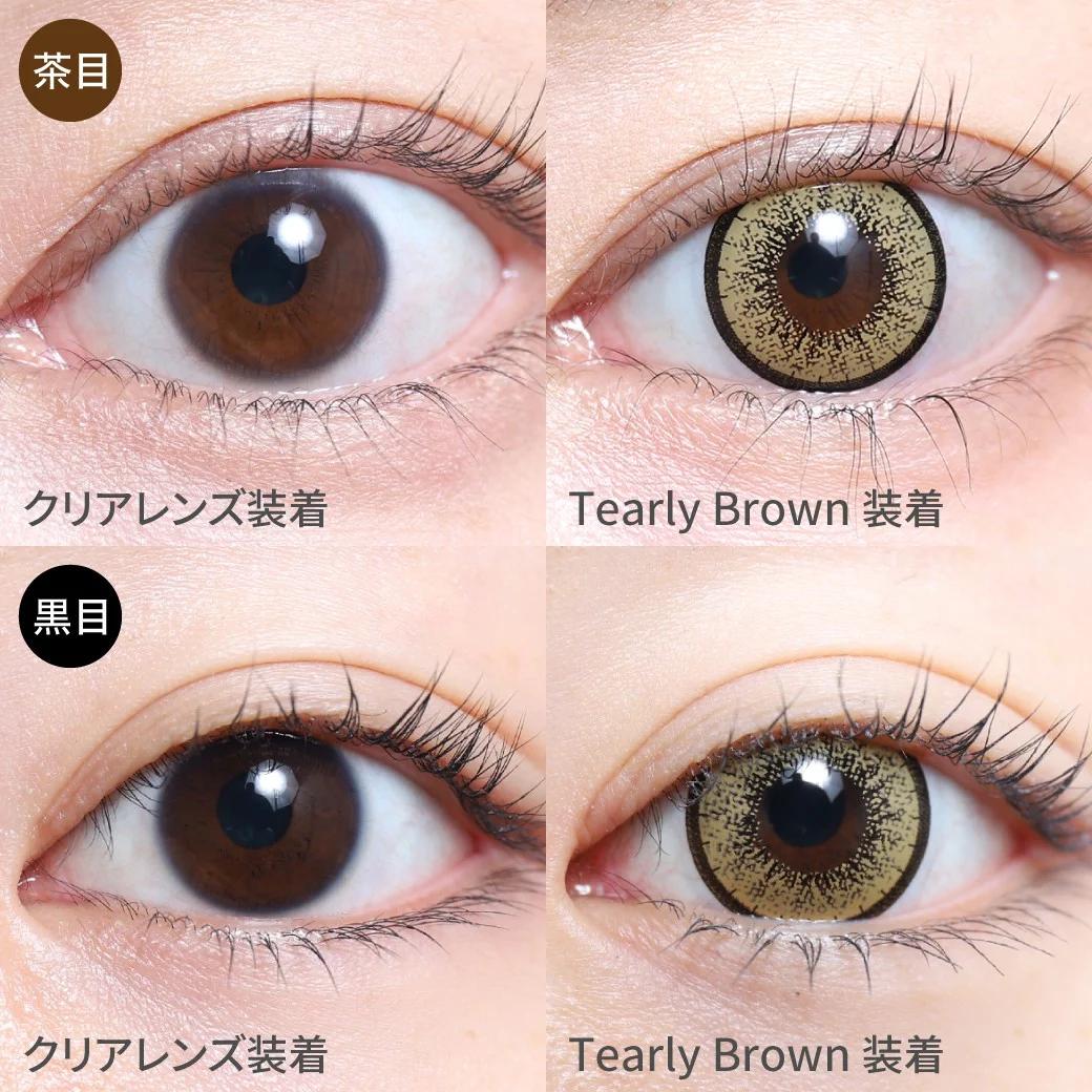 TeAmo - 1month Big Eye Type - Tearly Brown (2P)