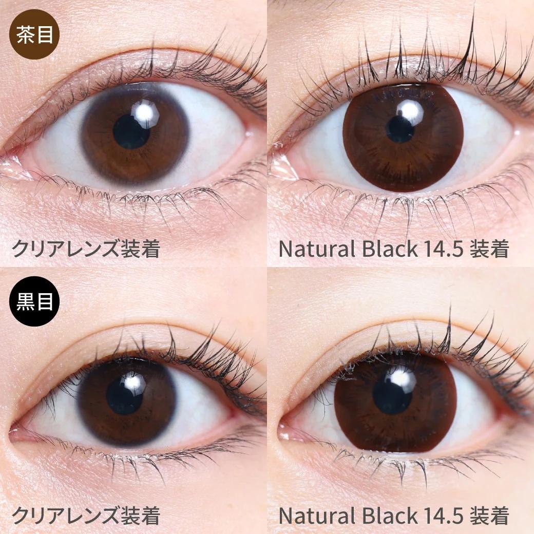 TeAmo - 1month Circle Type - Natural Black 14.5 (2P)