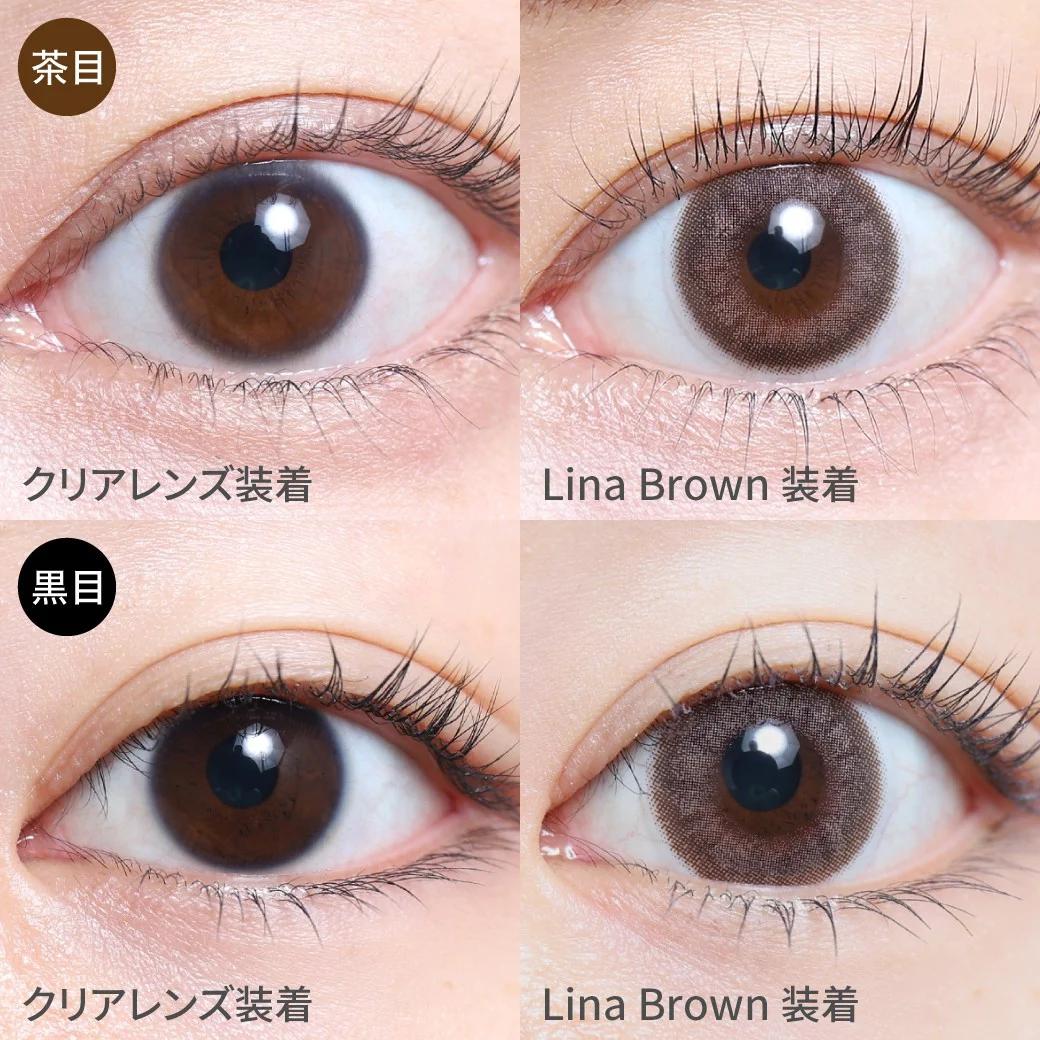 TeAmo - 1month Natural Type - Lina Brown (2P)