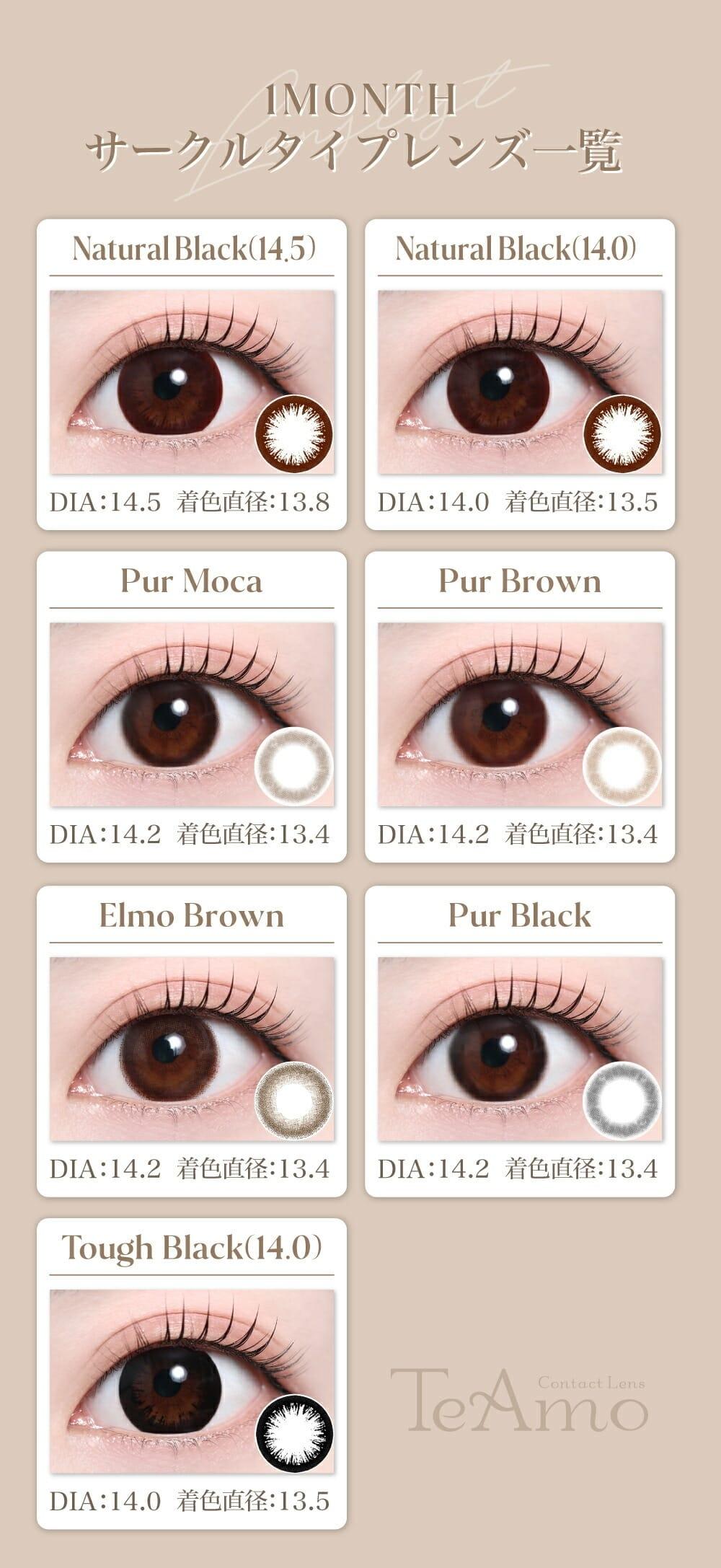 TeAmo - 1month Circle Type - Elmo Brown (2P)