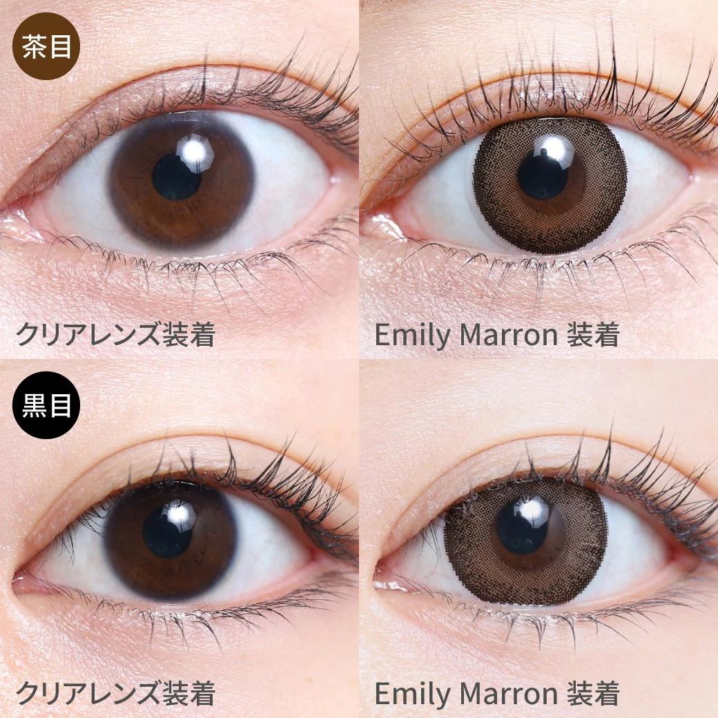 TeAmo - 1month Natural Type - Emily Marron (2P)