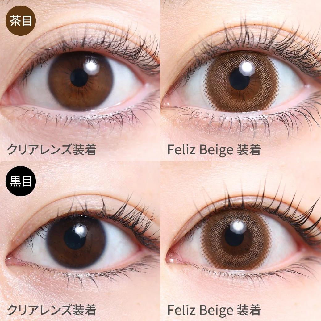 TeAmo - 1month - Feliz Beige (2P)