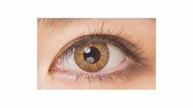 Etia - Reflet 1day - Leo (6P)