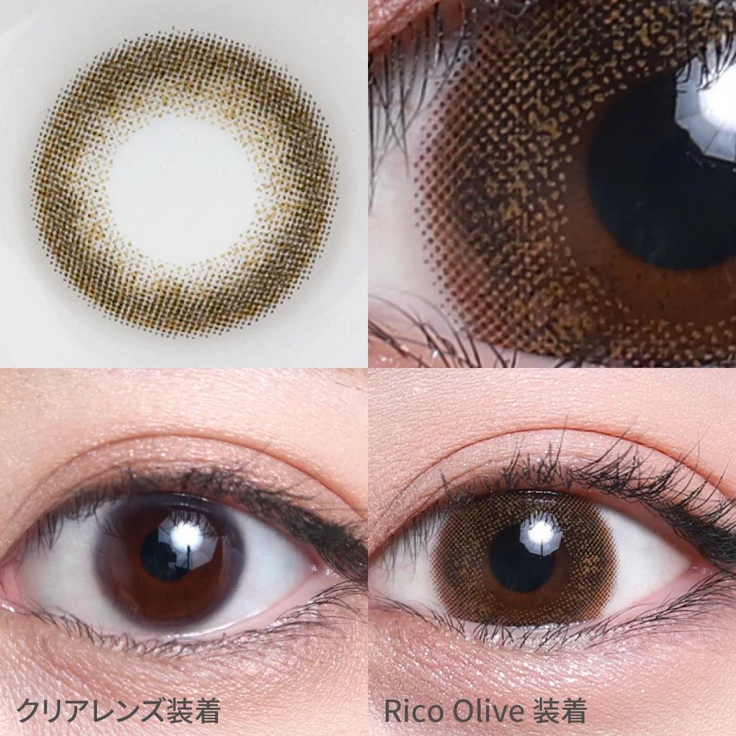 TeAmo - 1 Day Rico Olive (10P)