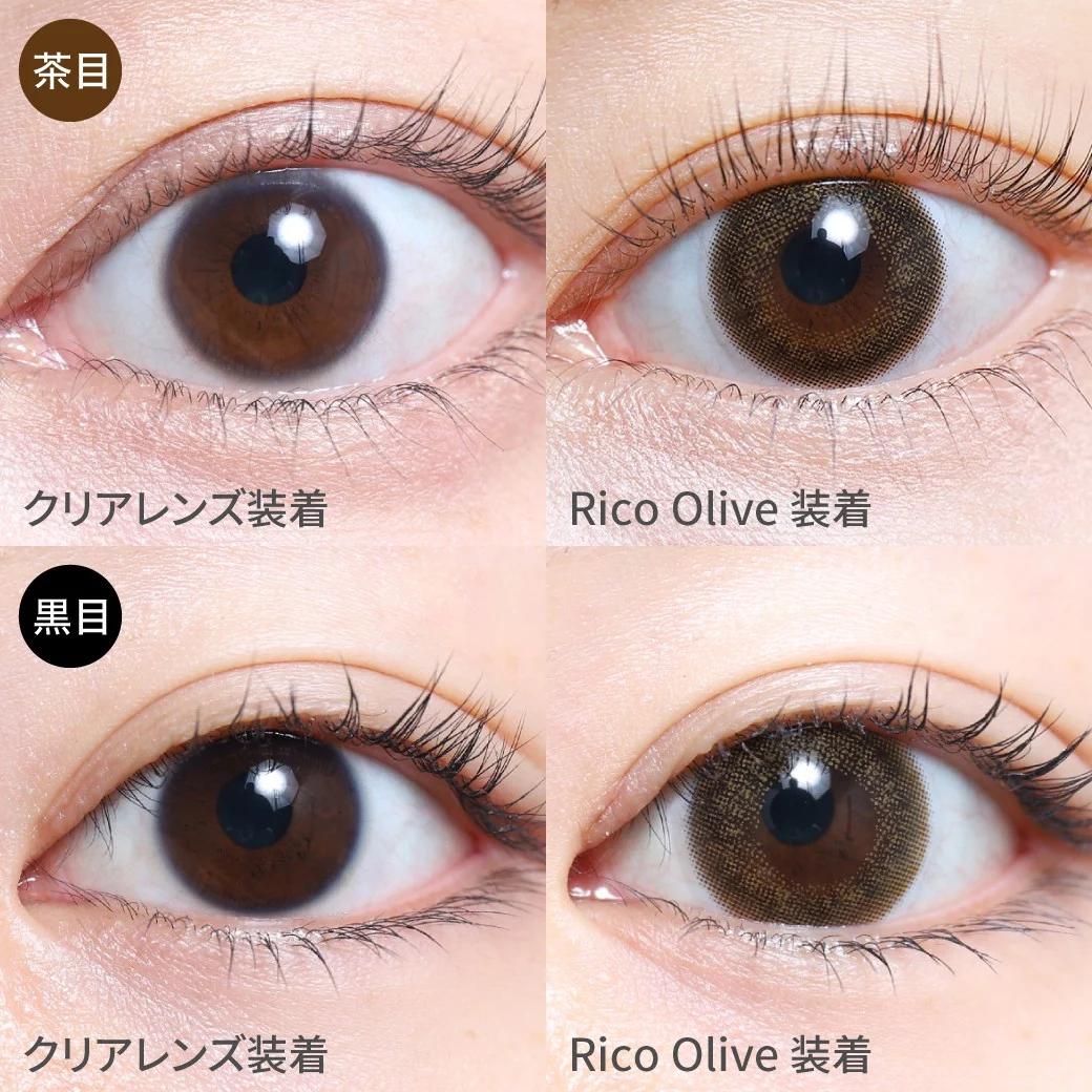 TeAmo - 1 Day Rico Olive (10P)