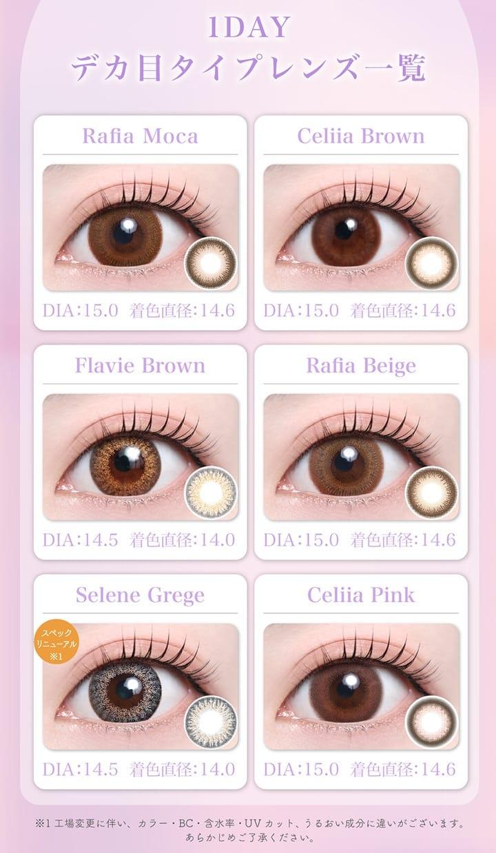 TeAmo - 1 Day Flavie Brown (10P)