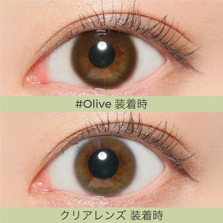 CHOUCHOU - 1Day Olive (10P)