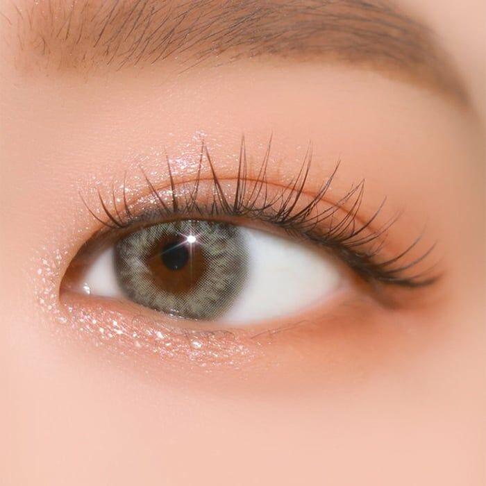 Doonoon Rona Gray 1 Day (10P)