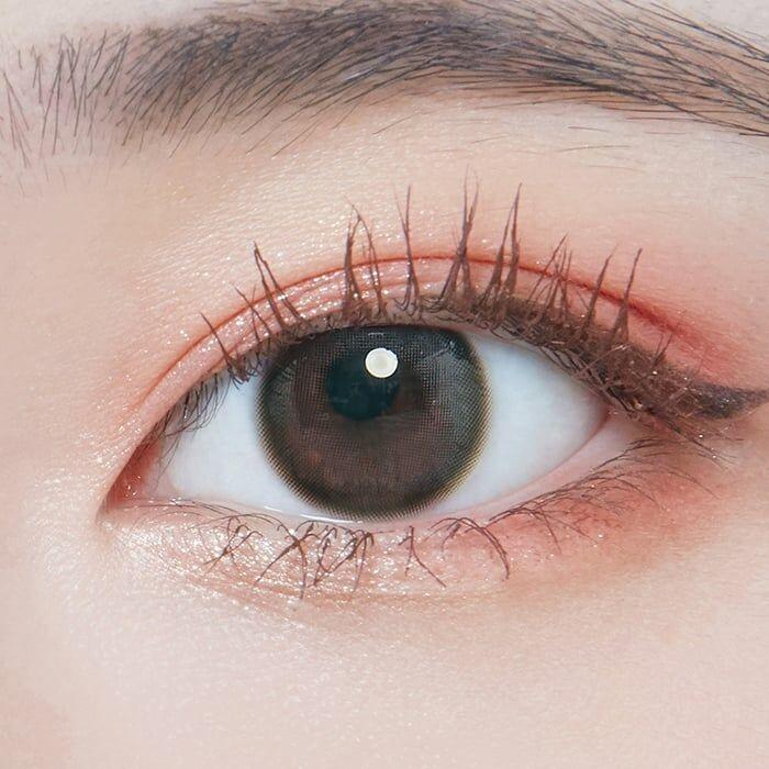 Lenstown Coconut 3color Wild Burgundy - 月con (2P)