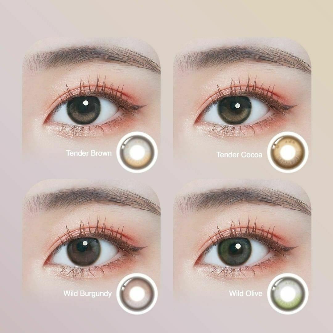 Lenstown Coconut 3color Wild Olive - 月con (2P)