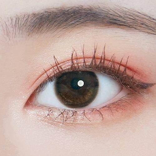 Lenstown Coconut 3color Tender Cocoa - 月con (2P)