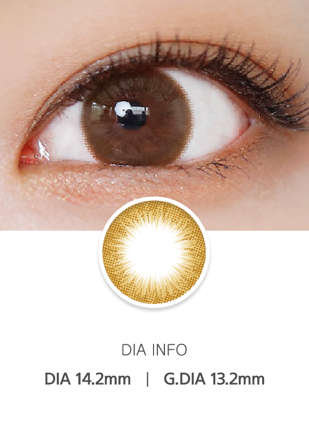 Ann365 2Color Latte Brown - 月con (2p)