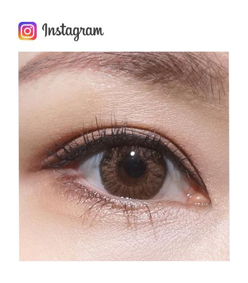 Lensme COCKTAIL 1-DAY SWEET BROWN (10P)