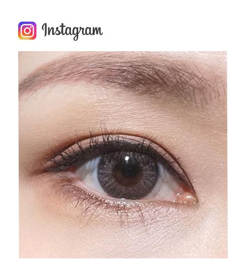 Lensme COCKTAIL 1-DAY DRY GRAY (10p)