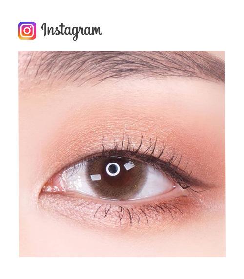 Lensme MAKE OVER BASIC 1 DAY BAYVELY BROWN (20P)