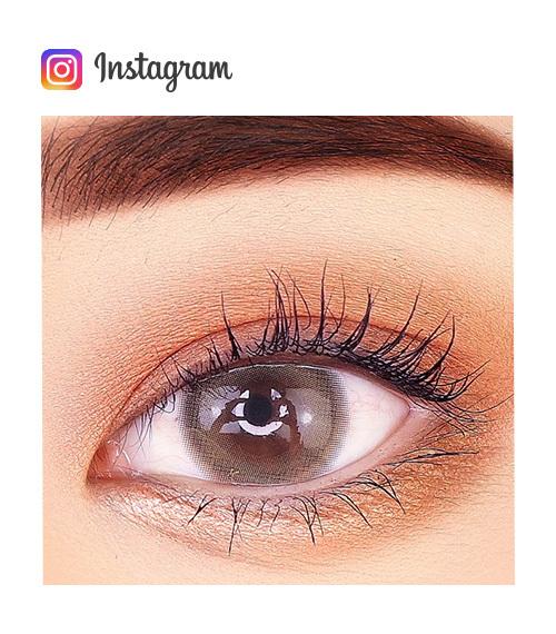 Lensme MAKE OVER BASIC 1 DAY BAYVELY BROWN (20P)