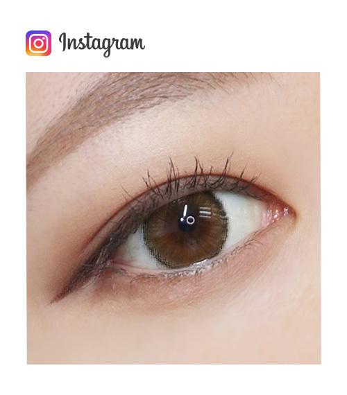 Lensme MAKE OVER TRENDY 1 DAY HOLIVE BROWN(20P)