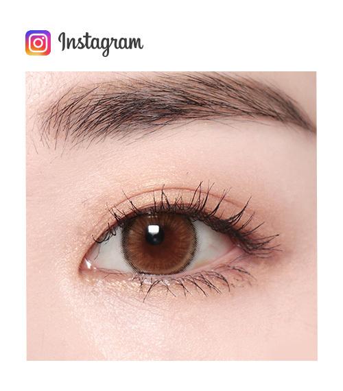 Lensme MAKE OVER TRENDY 1 DAY HOLIVE BROWN(20P)