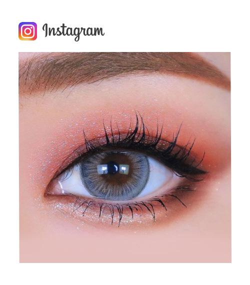 Lensme MAKE OVER TRENDY POLITAN 1-DAY GRAY (20P)