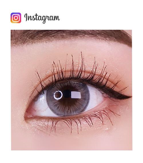 Lensme MAKE OVER TRENDY POLITAN 1-DAY GRAY (20P)