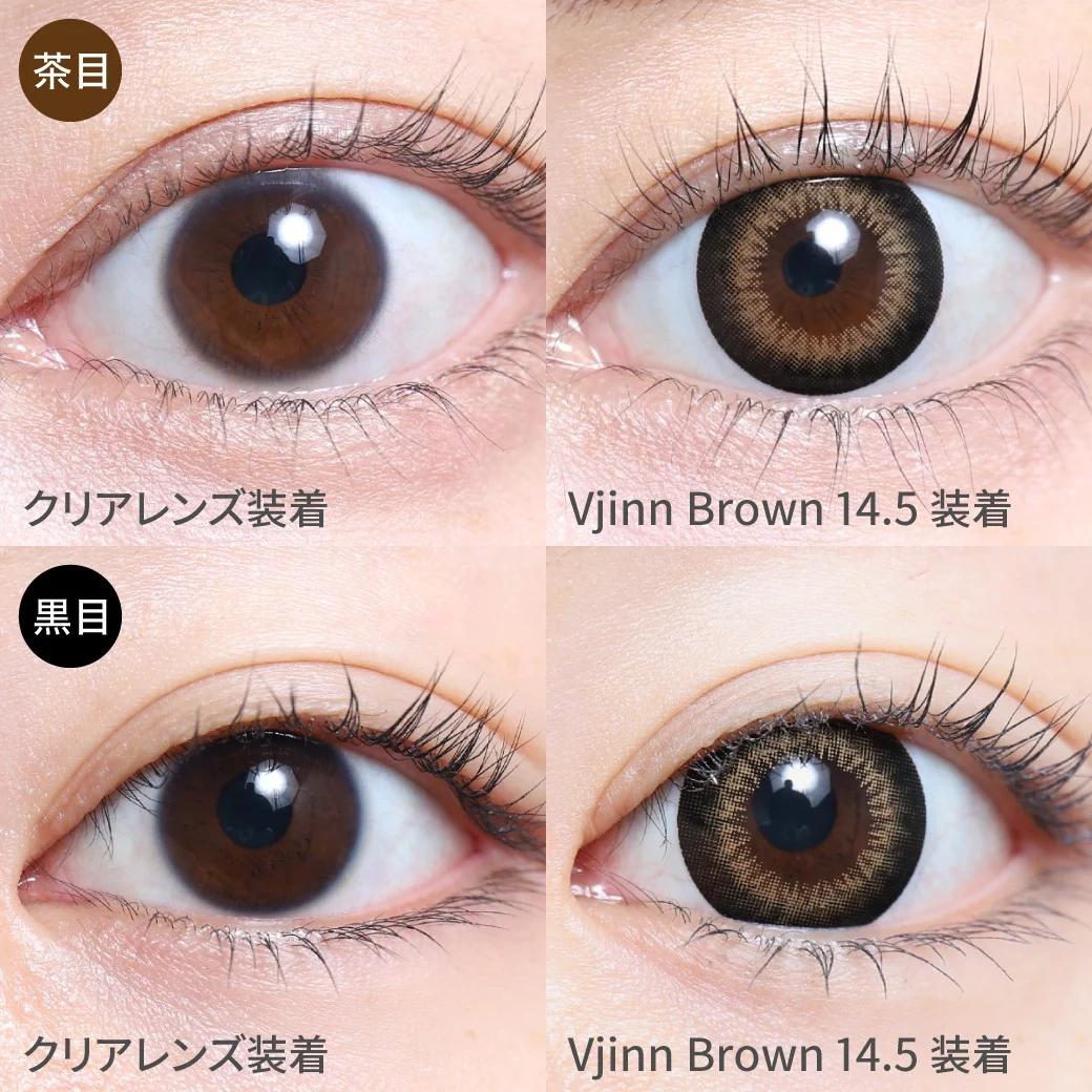 TeAmo - 1month Natural Type - Vjinn Brown 14.5 (2P)