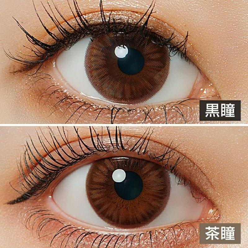 LARME - Moisture Series UV 1 Day - Beauty Brown (10P)