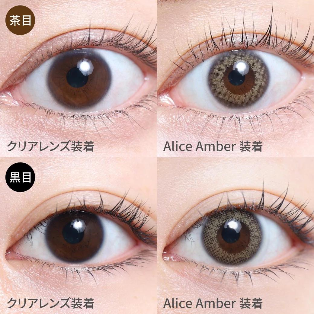TeAmo - 1month Natural Half Type - Alice Amber (2P)