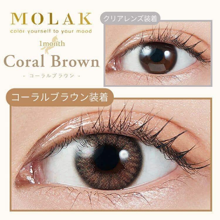 MOLAK - Coral Brown 月 con (2P)