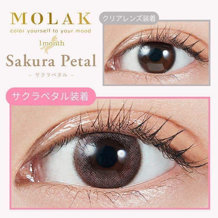 MOLAK - Sakura Petal 月 con (2P)