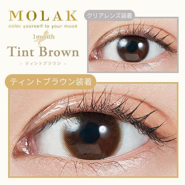 MOLAK - Tint Brown 月 con (2P)