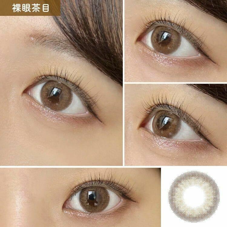 MOLAK - Sakura Smore 月 con (2P)