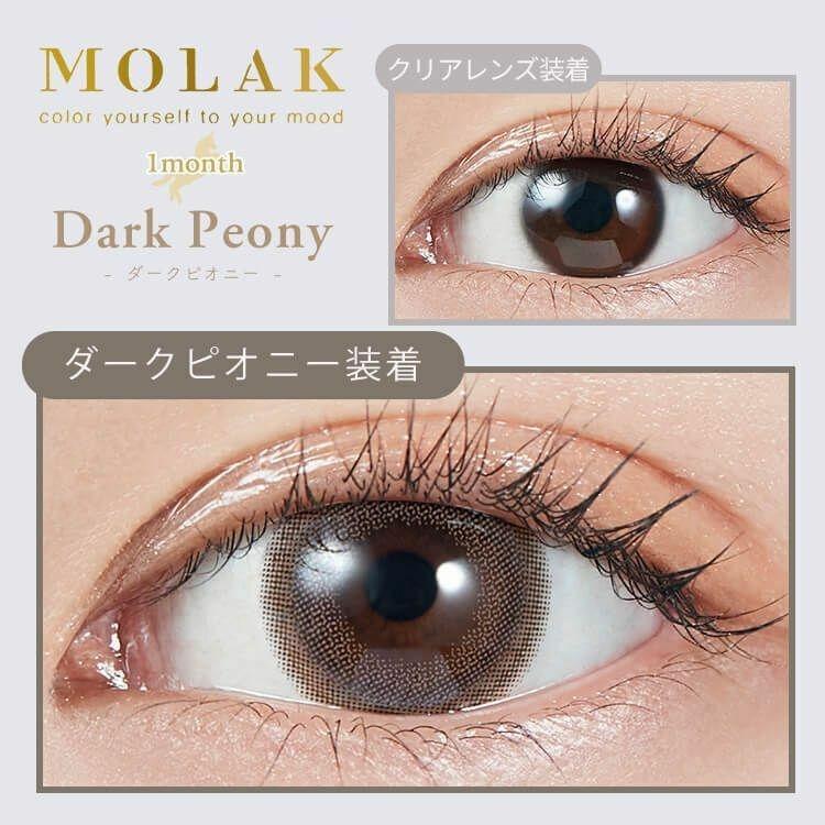 MOLAK - Dark Peony 月 con (2P)
