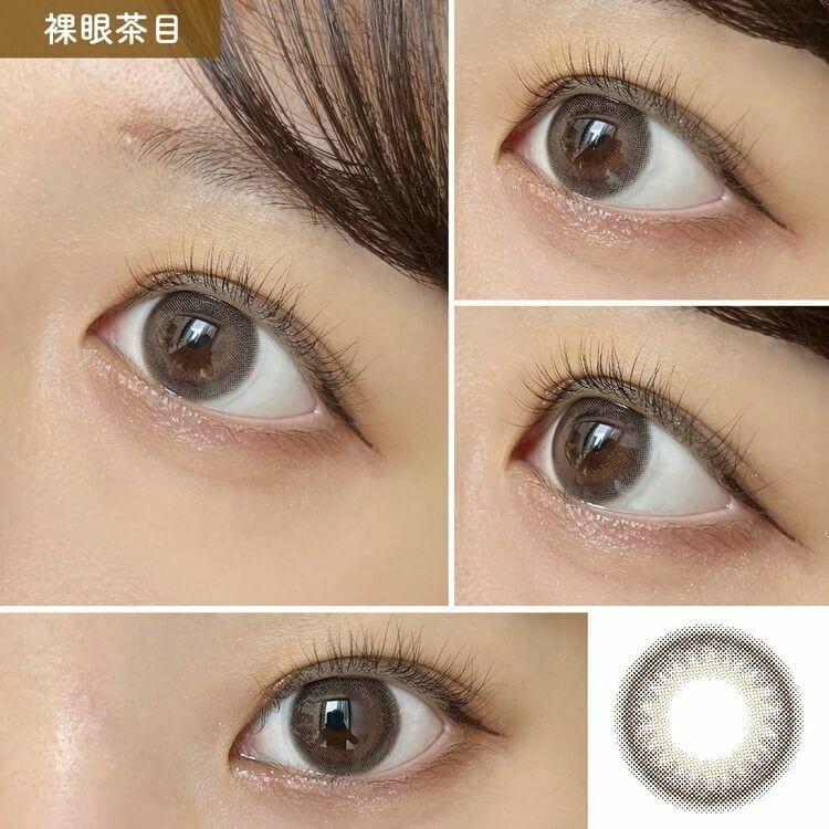 MOLAK - Dark Peony 月 con (2P)