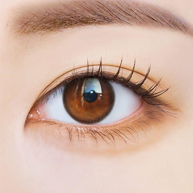 I SHA - Polaris Ursa Gray - 半年 con