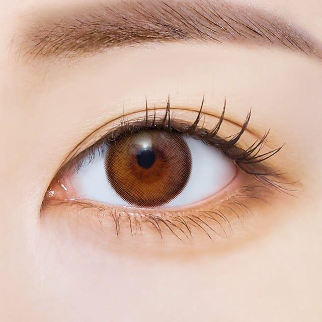 I SHA - Polaris Ursa Brown - 半年 con