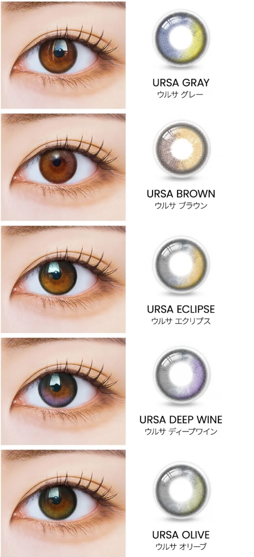 I SHA - Polaris Ursa Brown - 半年 con